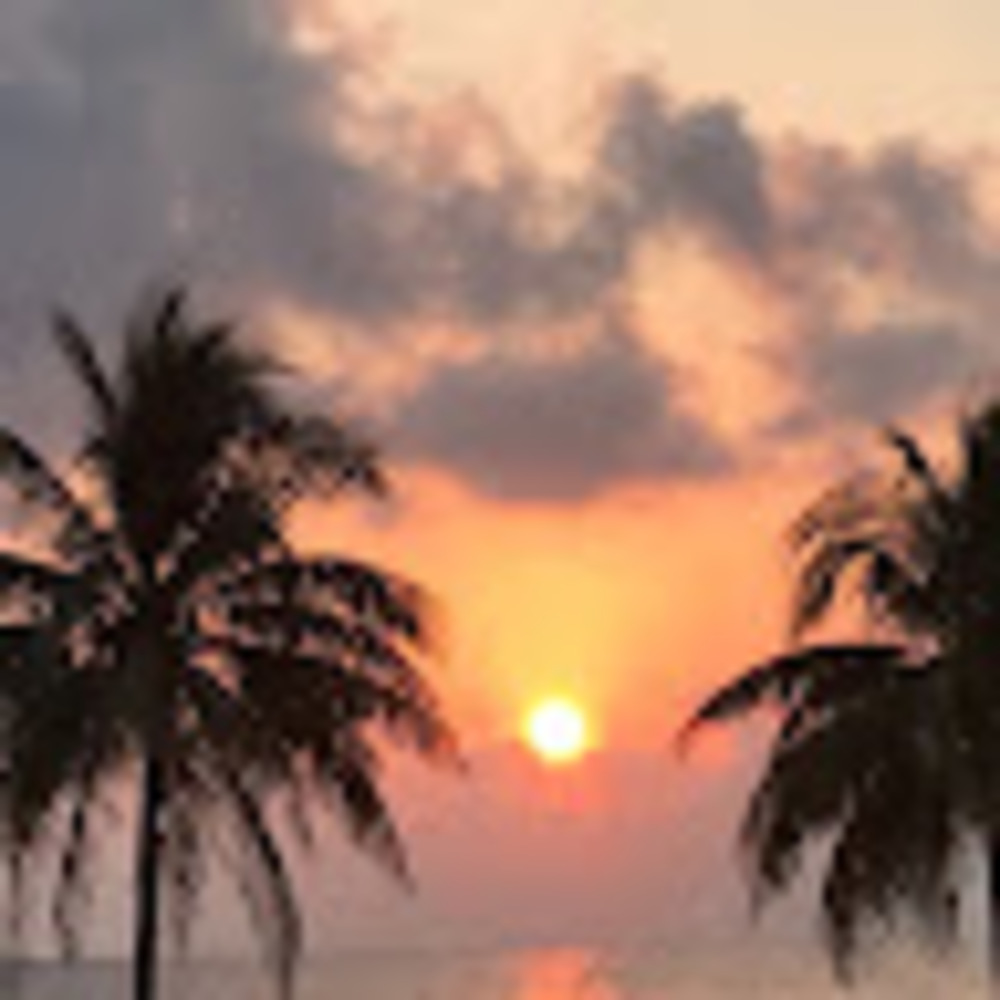 Meet your Posher, Nyc